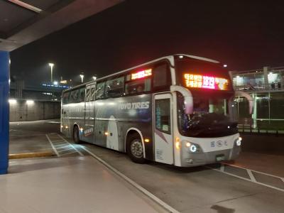 【深夜着】圓山大飯店に泊まる台湾女子1人旅 到着日は台北駅前で1泊2,000円