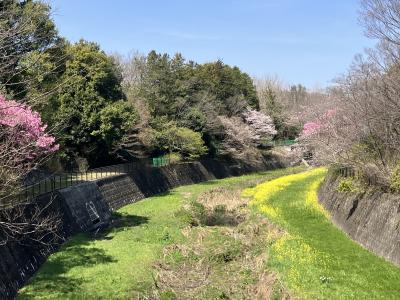 昭和記念公園　2024年春の訪れ