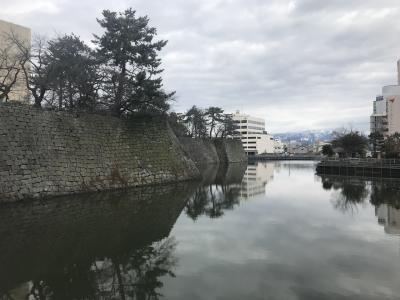 福井県の城跡巡り：柴田勝家の北ノ庄城跡地に建つ城、福井駅から直ぐ