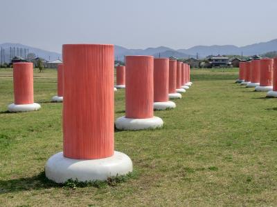 奈良県 橿原市　藤原宮跡 菜の花と桜、橿原神宮と神武天皇陵