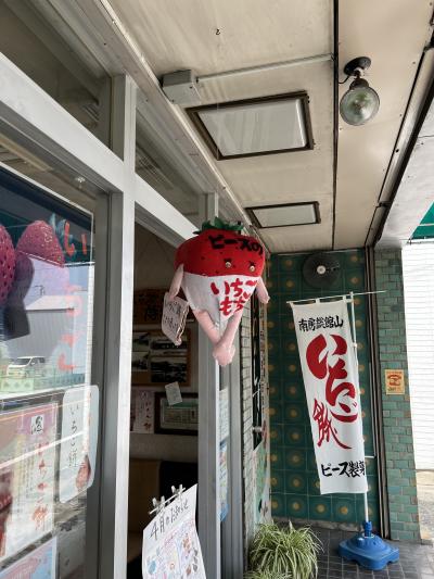 いちごもちを買いに　&#12316;館山城と道の駅&#12316;