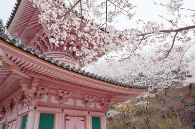 奈良＊壺阪寺