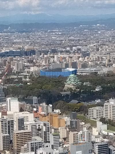 名古屋一高いビルで絶景を楽しんじゃお ♪♪