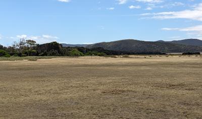 2024年２月 ④タスマニアの動植物を見る！自然大好き娘と二人旅　ナラウンタプ国立公園