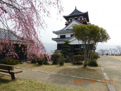 2024年3月　川之江城・丸亀城・新長谷寺（お観音さん）・すすきヶ原入野公園で花見・・・伊予三島市（現　四国中央市）を離れて50年の記念花見