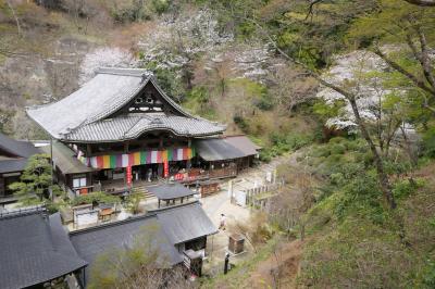 奈良＊岡寺