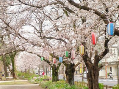 思い出の地を巡る - 埼玉・ふじみ野 - ぶらり街歩き