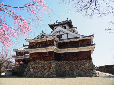 福知山城・清住カタクリ園・竹田城跡