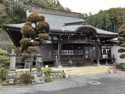 青梅 梅岩寺のしだれ桜