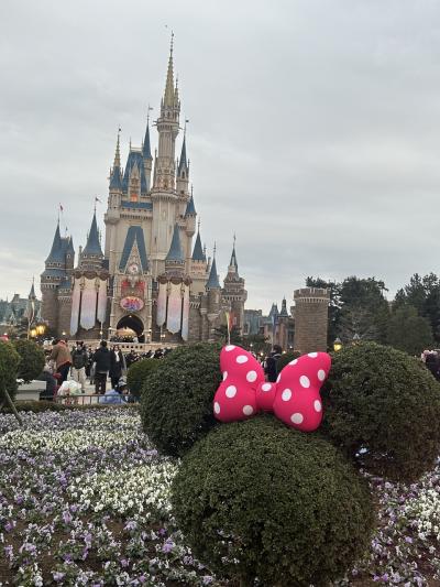 東京ディズニーランド～2024年2月～