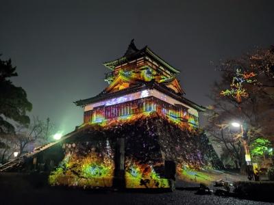 丸岡城の夜桜とマッピングを楽しむ！