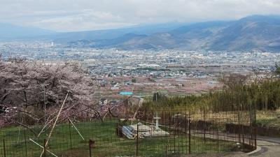 山梨・笛吹・石和　桃の花を求めて、、天気の予測は難しかった