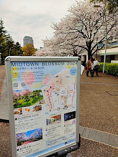 【東京良爺散歩　Tokyo Easy Sampo　冬の港区】東京ミッドタウンの桜をササッと見てきたの巻