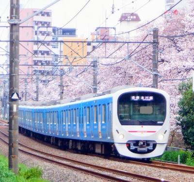 Ｅ　ＡＰＲ　２０２４　　「プチ花見　Ⅱ・・・・・①石神井川沿いの踏切」