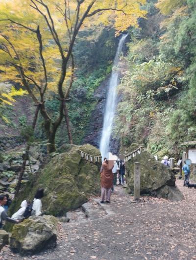 2023年11月岐阜県　美しい紅葉の養老公園と養老の滝