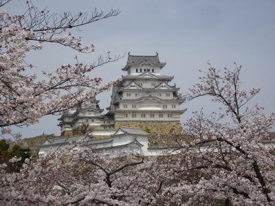 今年も姫路城の花見に出かけてきました