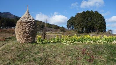 奈良県　當麻寺から風の森神社　山麓バイパスあれこれ