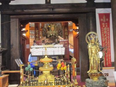 西国観音まほろば奈良の巡礼記（２０）壷阪寺ご本尊に参拝。