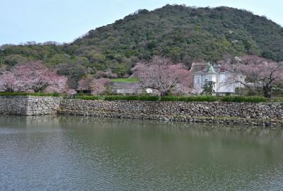 桜を求めて鳥取県を横断する旅《１》～満開まであと少しの久松公園＆鳥取城登城記～