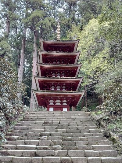 2024年4月吉野山と室生寺②橿原神宮・室生寺