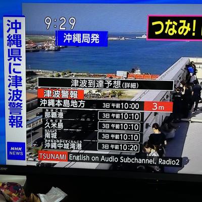 津波警報にぞ～～～～っとした石垣島ホテルから新石垣島空港の混乱へ
