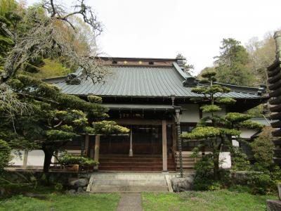 泰翁寺（神奈川県足柄上郡中井町松本）ー2024年春