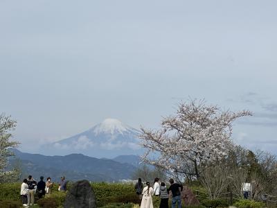 久能山東照宮詣と日本平テラスへ