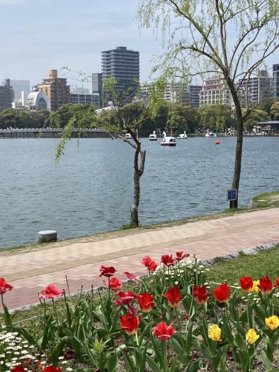 2024春のお散歩 in 舞鶴公園と大濠公園