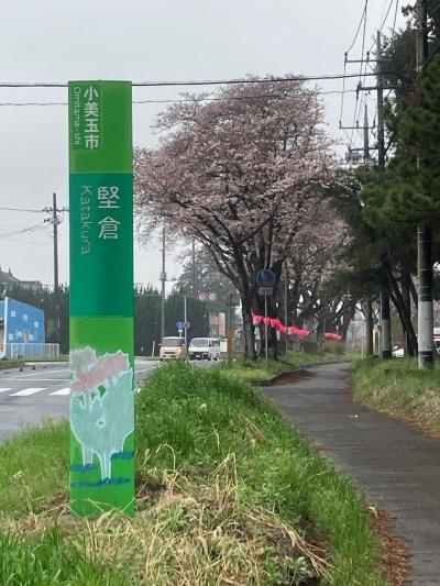 日光水戸駅伝単独走【第10区】30.2Km　水戸→府中