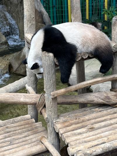 ３年ぶりのクアラルンプール　Ⅱ（動物園）