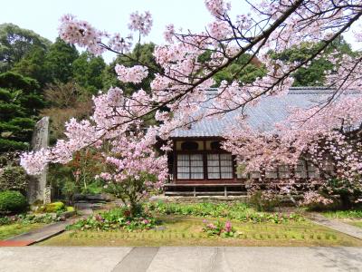 四国八十八ヶ所巡り・その14（春遍路・三角寺と弥谷寺をゆく）