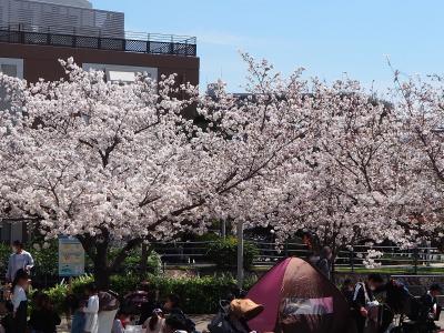 関西ぶらり旅（１）ひかり号ＳＷｏｒｋＰシート＆延伸開業の北大阪急行で箕面萱野へ行って桜を愛でる