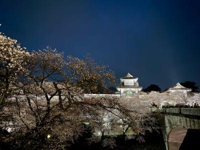 金沢一泊桜巡り