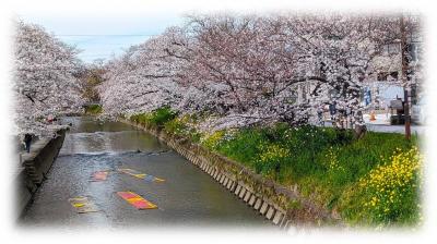 福寿稲荷大明神・信貴山宝生寺 (岩倉市本町畑中)