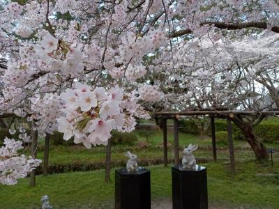 出雲・足立美術館・松江城へ春の桜旅♪ ①出雲大社編