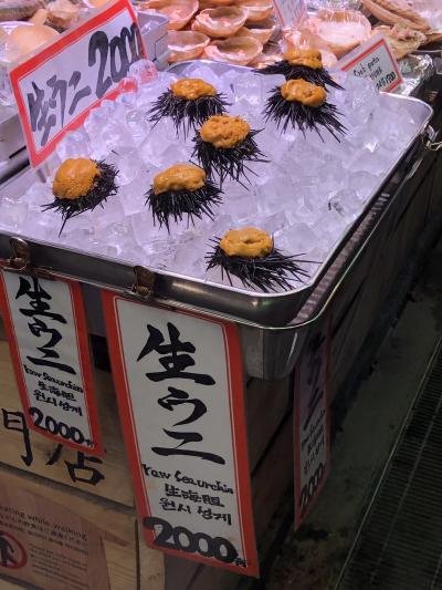 2024.4.5 金曜日 清水寺 祇園 錦 他