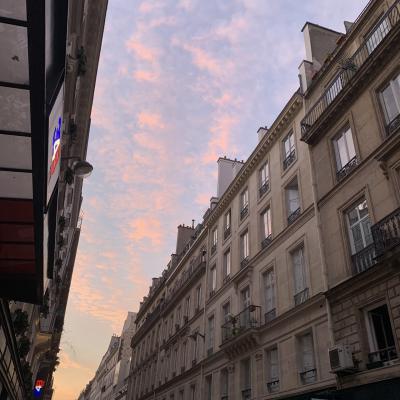 母娘念願のフランス旅行(南仏～パリ)㉝シャルル・ド・ゴール空港～成田空港☆彡