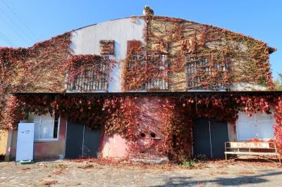 アートが静かに溶け込む百島へ 瀬戸内あいらんど紀行vol.33