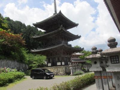 西国観音まほろば奈良の巡礼記（２１）壷阪寺を下山する。