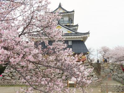 晴れおじさん「春の静岡 花めぐり・城めぐり」(前編)