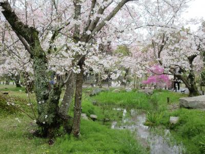 花曇りの河原院①