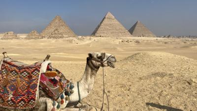 エジプト13日間 かかった費用総額