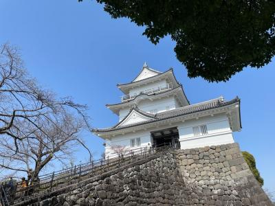 行き当たりばったりの箱根旅行