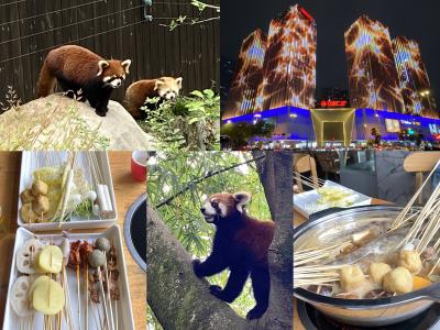 清明節休暇はパンダの街成都へNo.３　成都大熊猫繁育研究基地でレッサーパンダ♪「袁記串串香」で串串を食べる　ギラギラ万达広場
