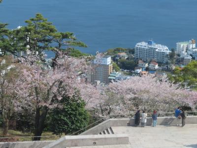 晴れおじさん「春の静岡 花めぐり・城めぐり」(後編)