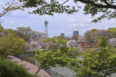 天王寺公園の.･*桜･:*  ＆ 大阪「冬の陣」では家康、｢夏の陣｣では真田幸村の本陣になった茶臼山