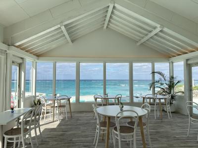 【冬の与論島観光2024】念願の野生のウミガメに会えた!ホテル周辺をウォーキングで観光