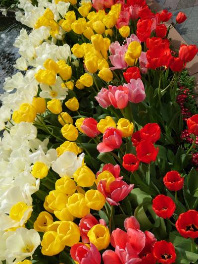 福岡 ぶらぶら日帰り旅