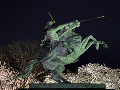 2024 桜咲く東北の旅／山形へ。霞城公園で夜桜鑑賞。