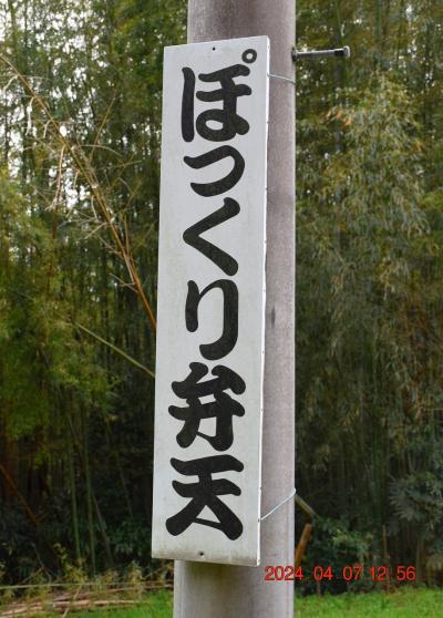 2024 千葉県にある福島県・三春のしだれ桜とぽっくり弁天(^▽^;)